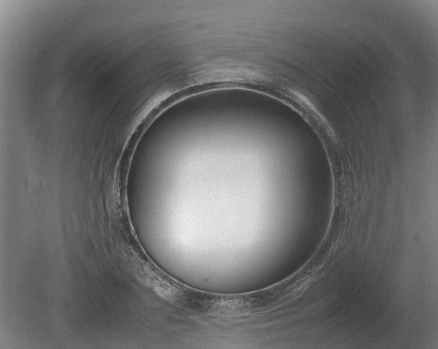 X0000080120883200612151710