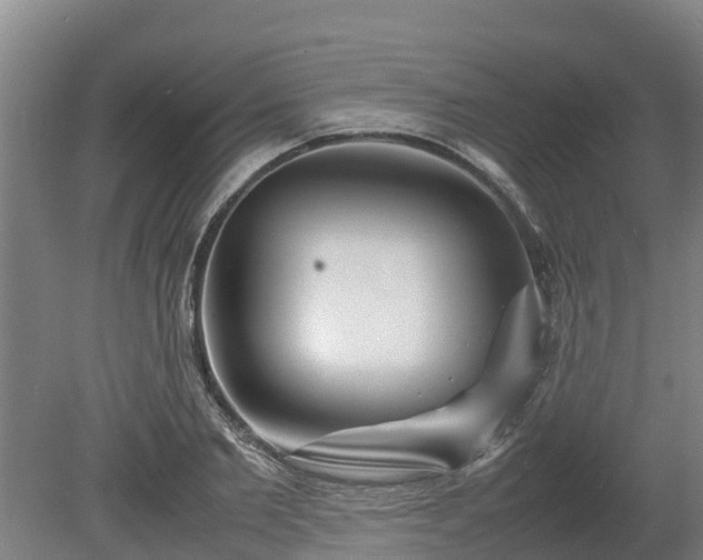 X0000080120885200612151710