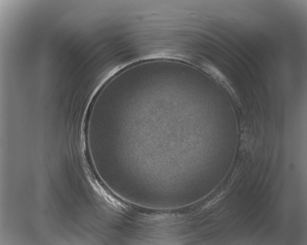 X0000080120892200612151709