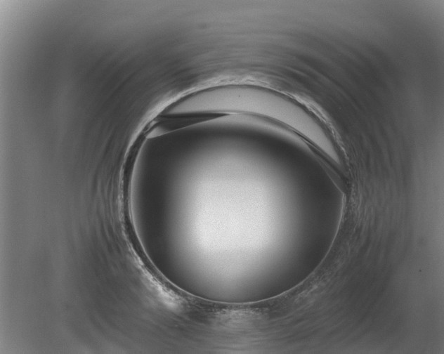 X0000080120894200612151709