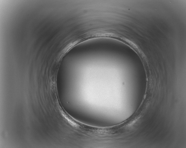 X0000080120897200612151709