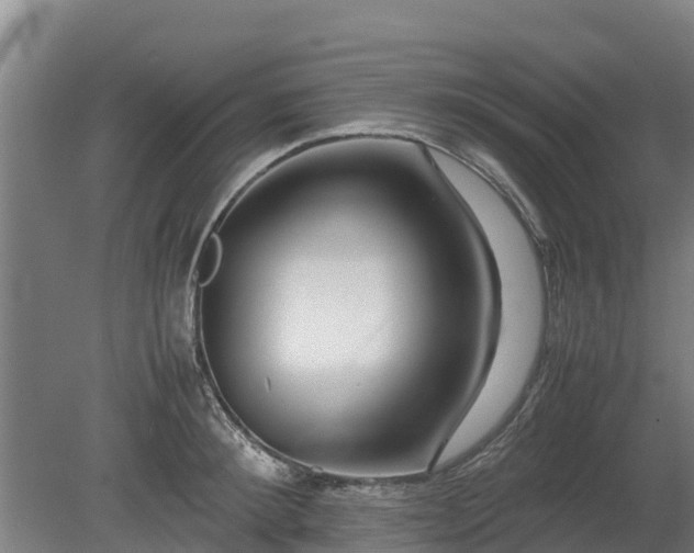 X0000080120900200612151709