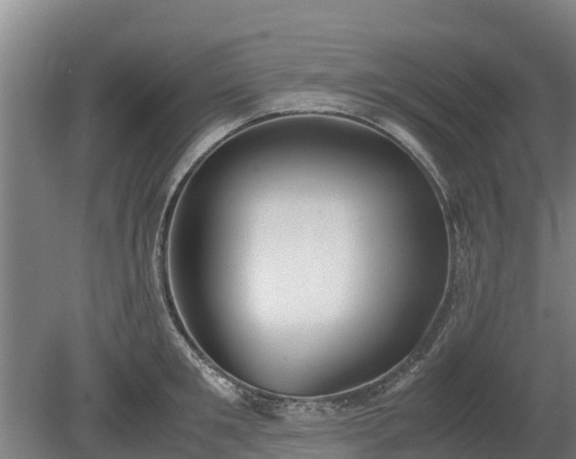 X0000080120901200612151709