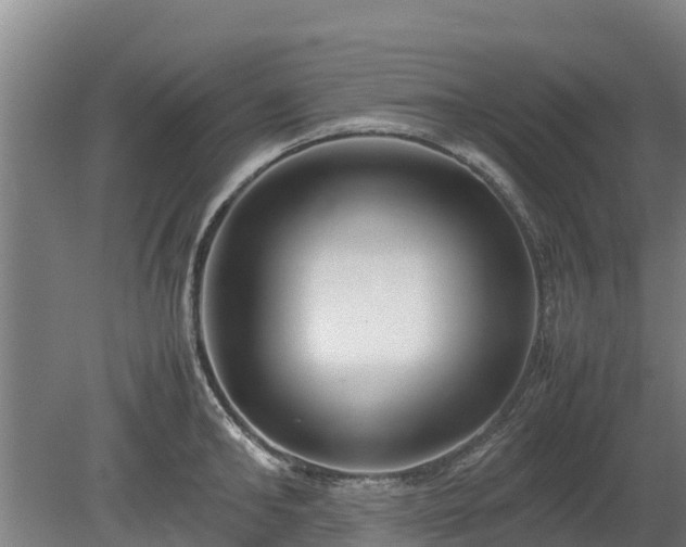 X0000080120902200612151709