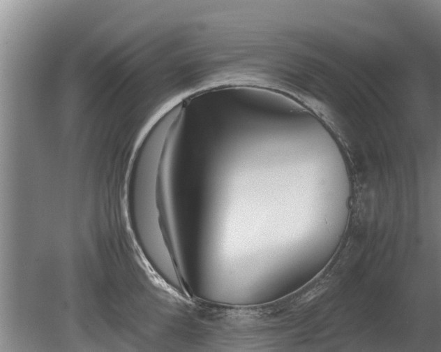 X0000080120904200612151709