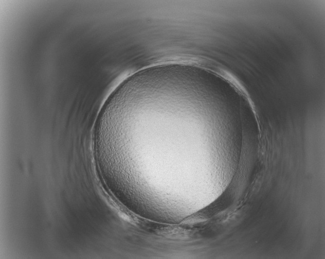 X0000080120907200612151709