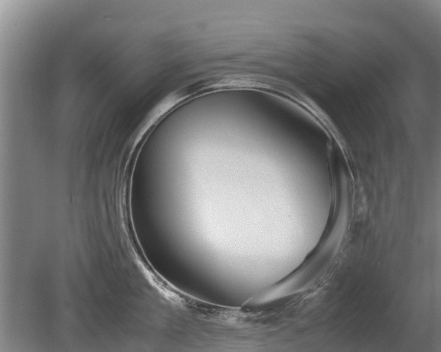 X0000080120909200612151709