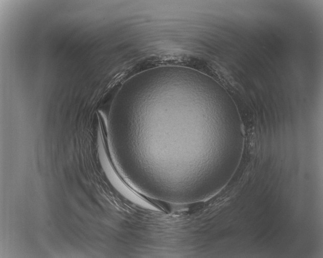 X0000080120916200612151708