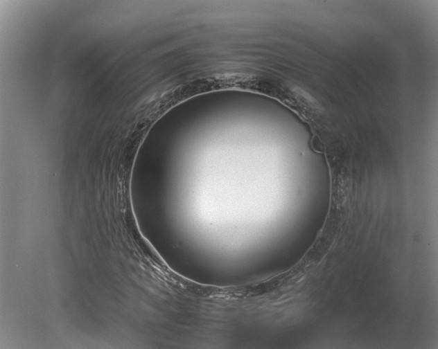 X0000080120917200612151708