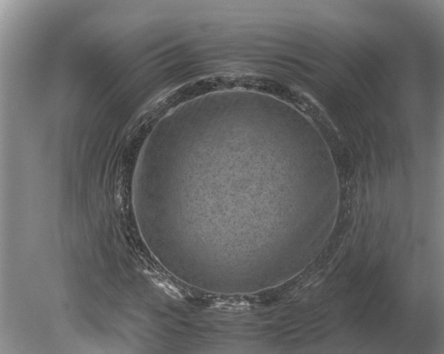 X0000080120919200612151708