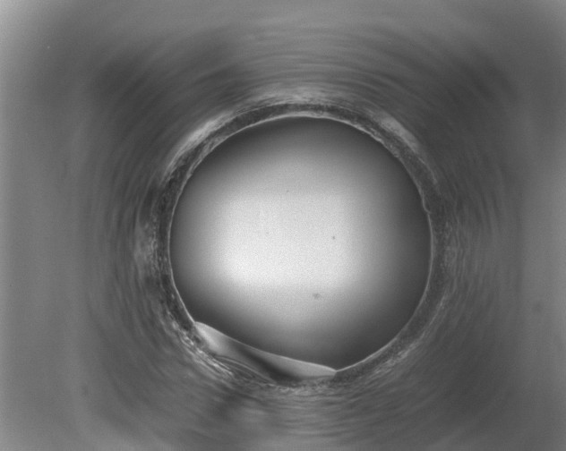 X0000080120922200612151708