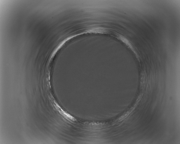 X0000080120923200612151708