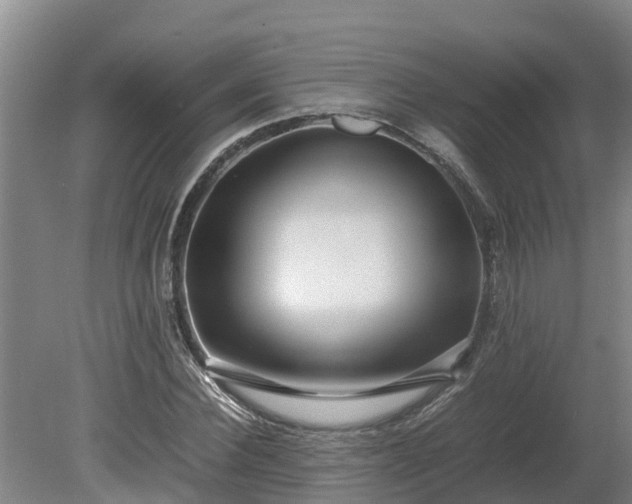 X0000080120924200612151709