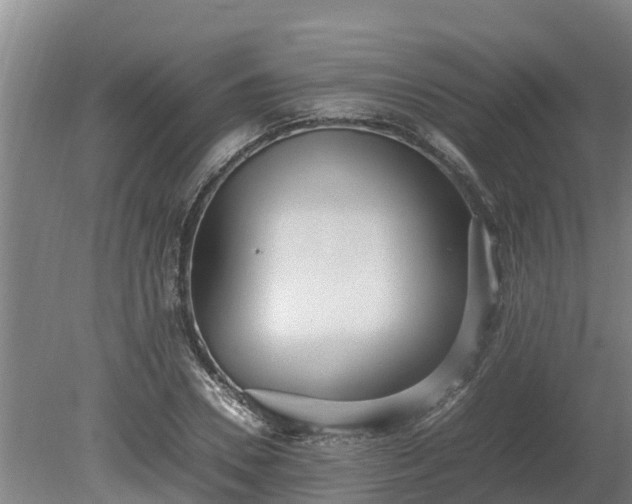 X0000080120930200612151709