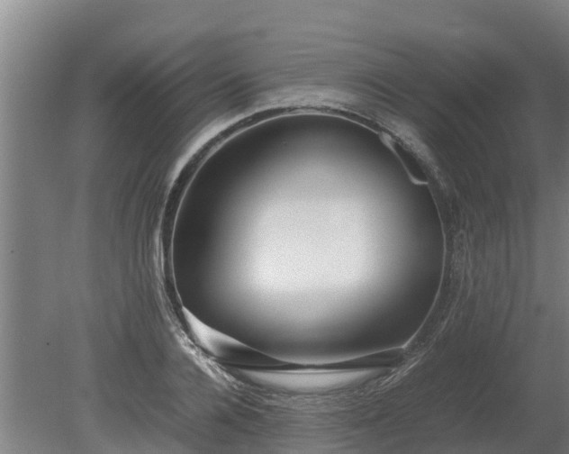 X0000080120936200612151709