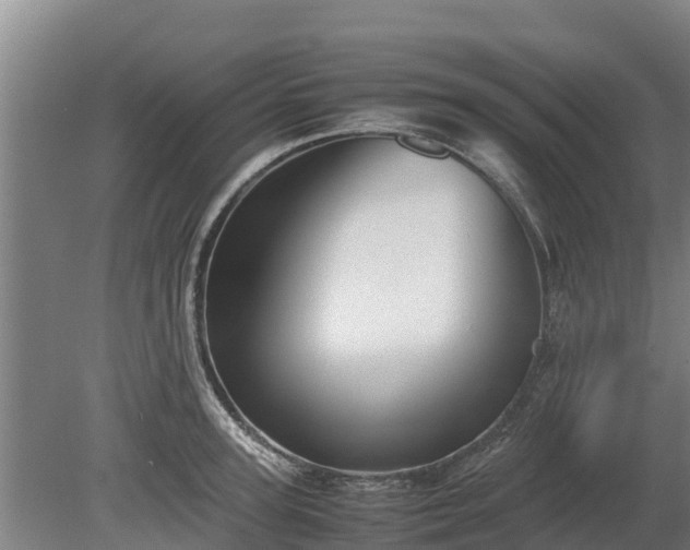 X0000080120947200612151709