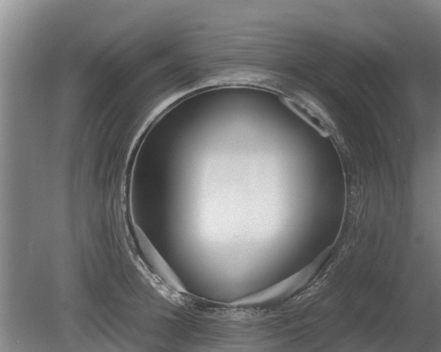 X0000080120948200612151709