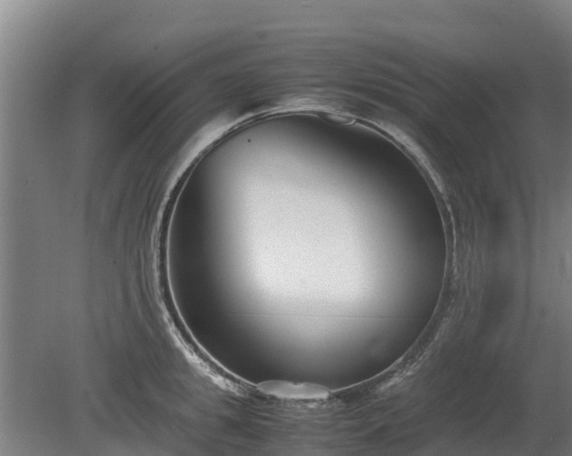 X0000080120949200612151709