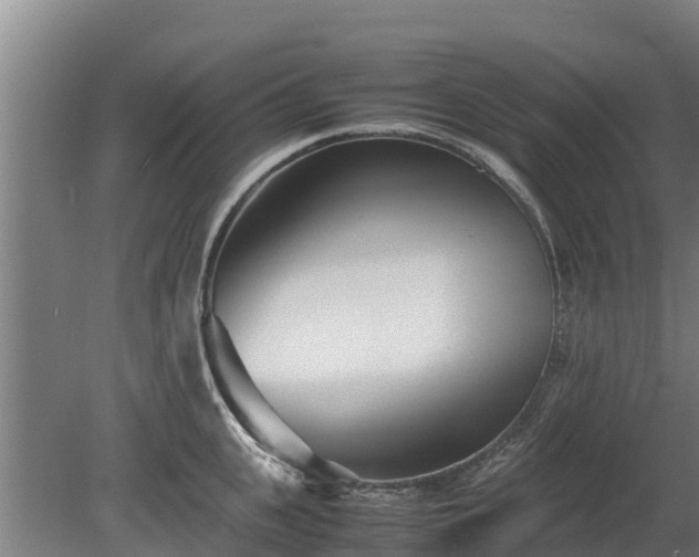 X0000080120951200612151709