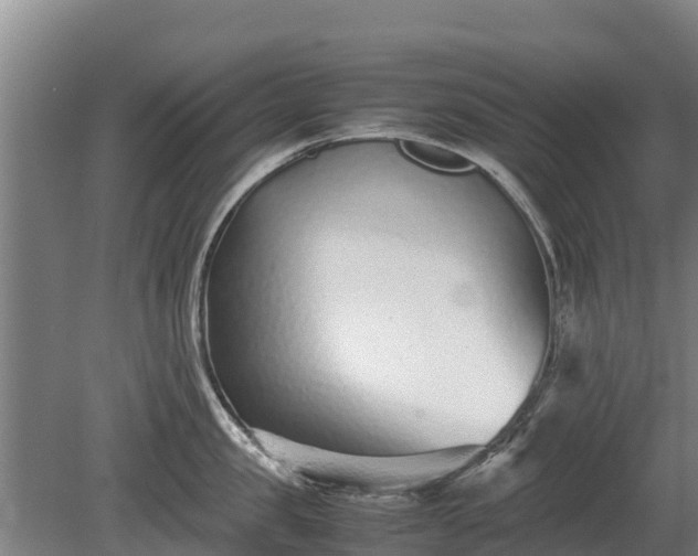 X0000080120957200612151709