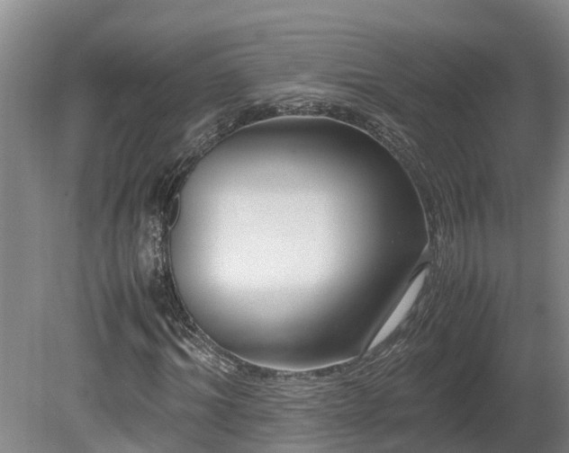 X0000080120964200612151708