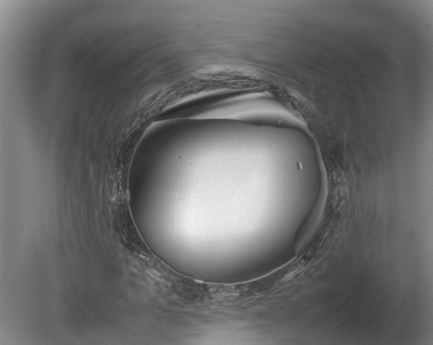 X0000080120965200612151708