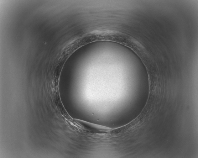 X0000080120966200612151708