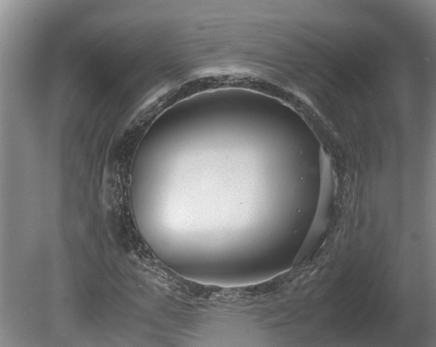 X0000080120967200612151708