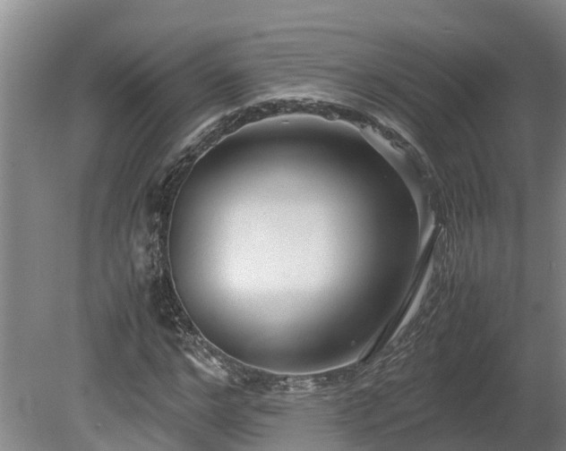 X0000080120968200612151708