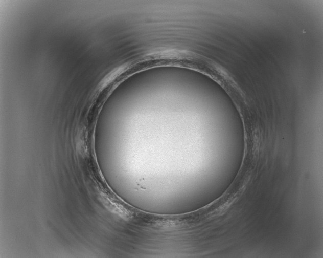 X0000080120970200612151708