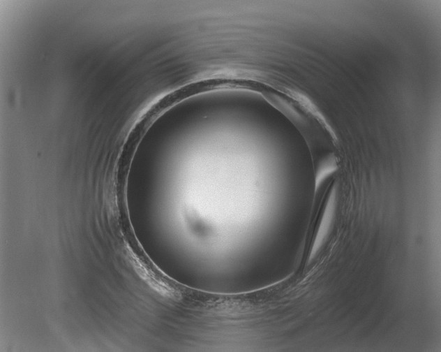 X0000080120972200612151708