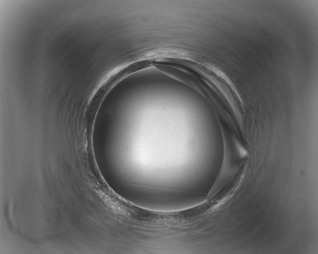 X0000080120973200612151708
