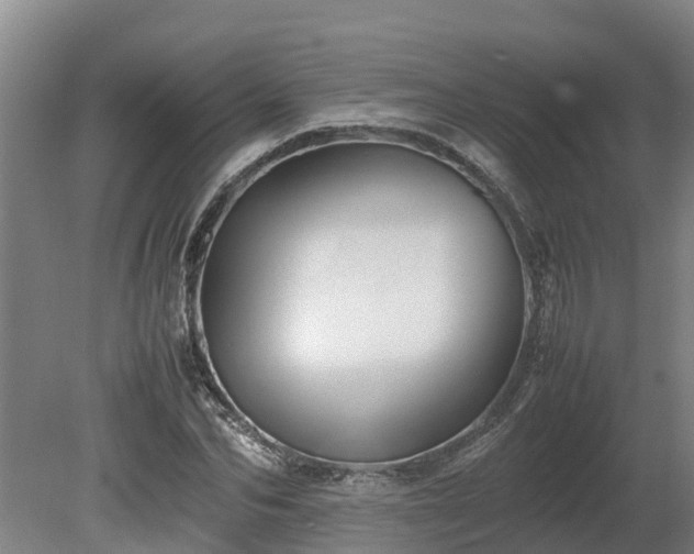 X0000080120974200612151708