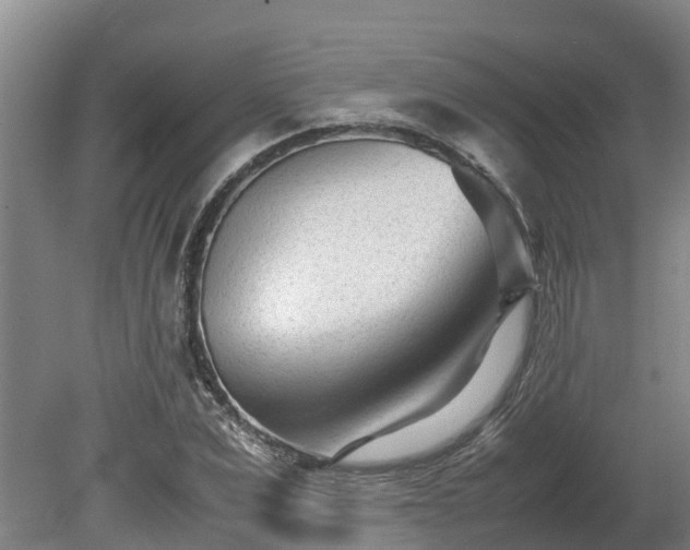 X0000080120975200612151708