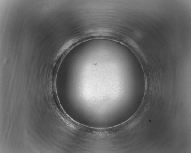 X0000080120978200612151708