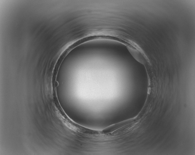 X0000080120980200612151708