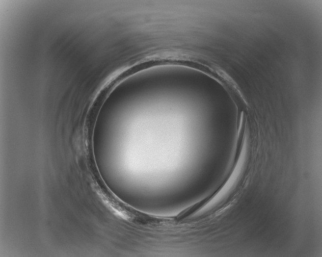 X0000080120981200612151708