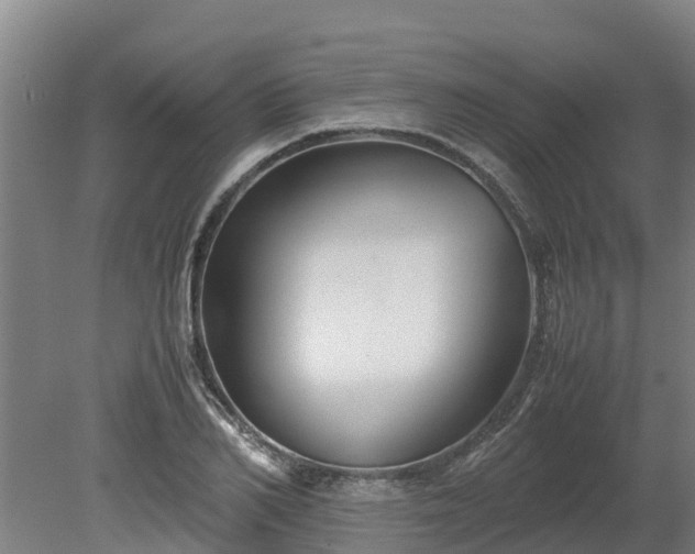 X0000080120982200612151708