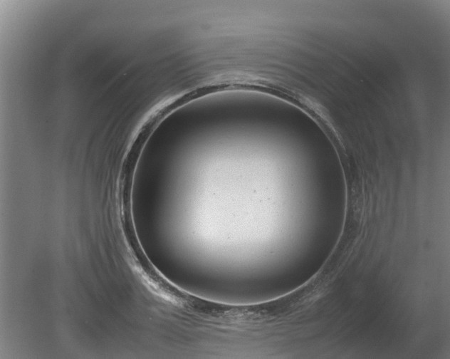 X0000080120987200612151708