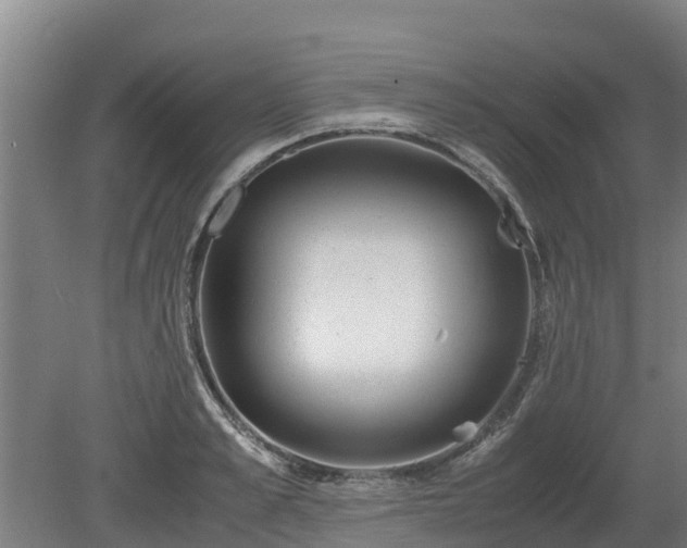 X0000080120989200612151708