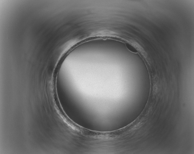 X0000080120990200612151708