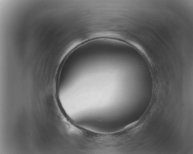 X0000080120999200612151708