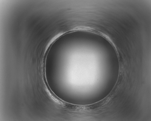 X0000080121003200612151708