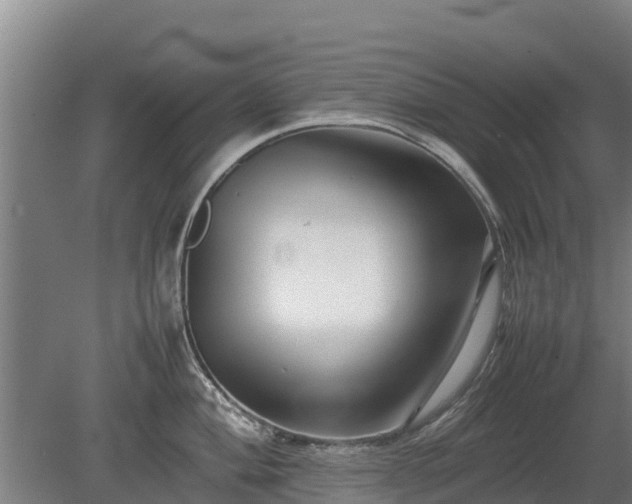 X0000080121004200612151708