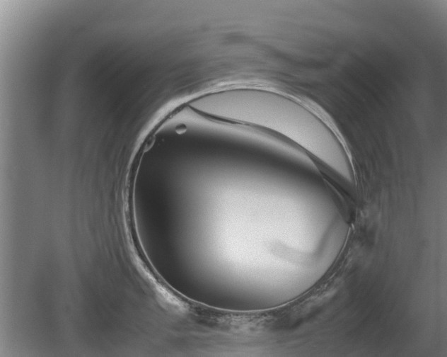 X0000080121005200612151708