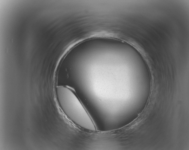 X0000080121008200612151708