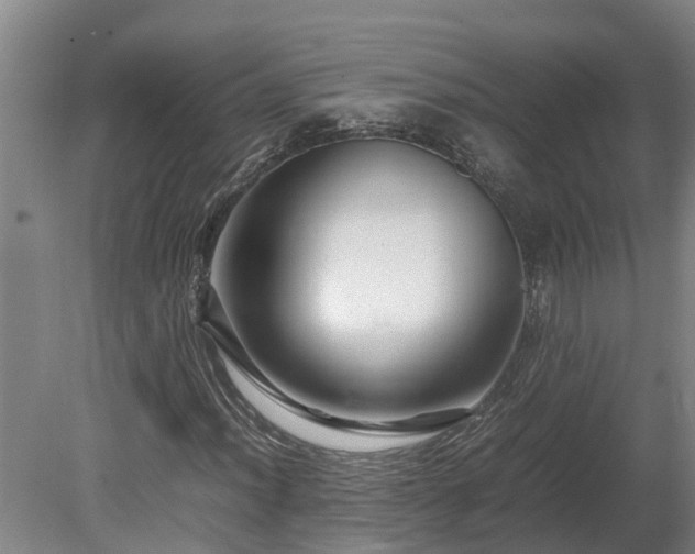 X0000080121012200612151707