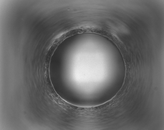 X0000080121016200612151707
