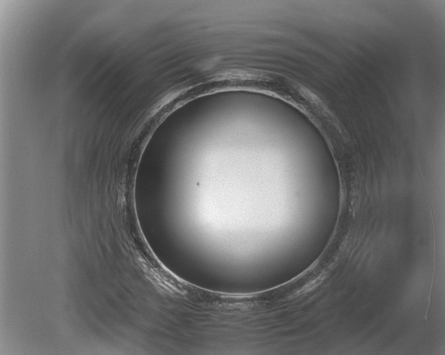 X0000080121017200612151707
