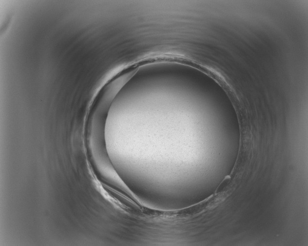 X0000080121038200612151707